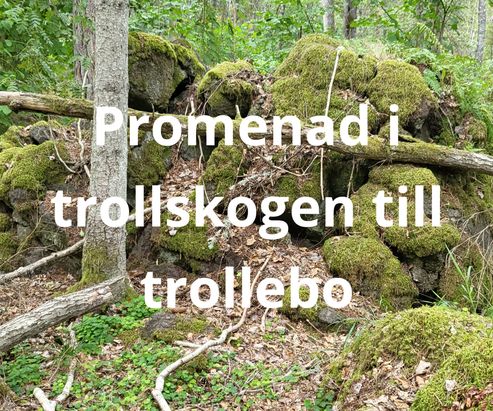 2022 08 20 Trollskogen till trollebo